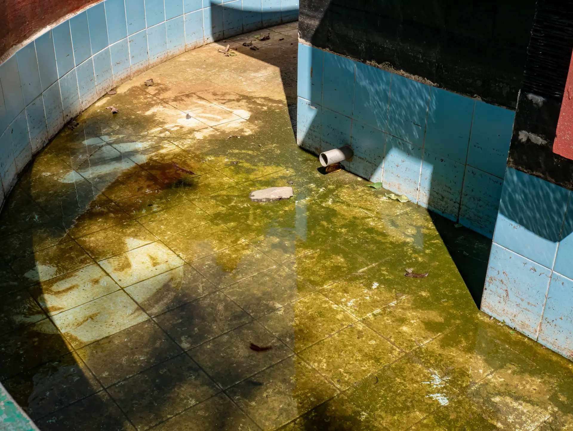 Dirty Pool - Common Swimming Pool Problems